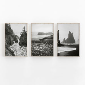 Set Of 3 Black and White Photography, Wall Art Bundle Set, Landscape Art, Cabin Decor Printable, Digital Download, Nature Art Print