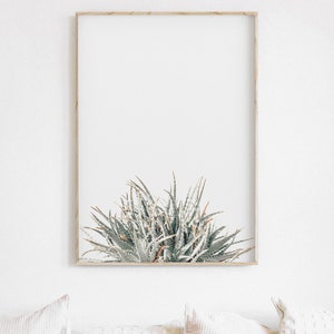 Aloe Print, Instant Art, Aloe Vera, Modern Minimalist Poster, Printable ...
