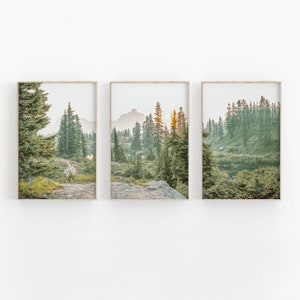 Natur Wald Druck 3er Set, Flusswald, Nationalpark, modernes minimalistisches Poster, Wald Kiefer Baum Druck, Fotografie Druck, Galeriewand