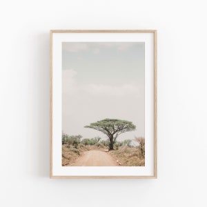 South Africa Print, Nature Wall Art, Photography Print, Africa View Art Print, Photo Poster, South Africa Room Decor, Boho Poster, Animal