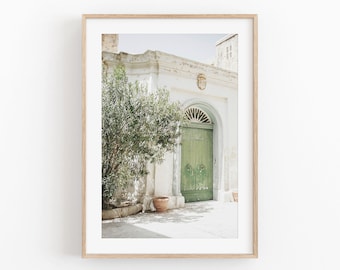 May include: A green wooden door with a decorative archway and a potted plant in front of a white building.