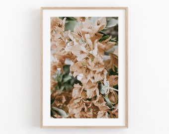 Orange Bougainvillea Print: Botanical Wall Art (Digital Download)