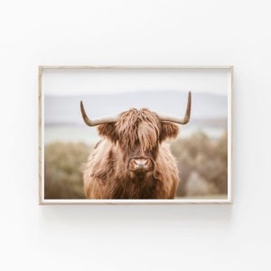 May include: A framed print featuring a Highland cow. The cow has long, shaggy, reddish-brown fur and large, curved horns. The background is a blurred landscape of green and brown tones, with a light sky.