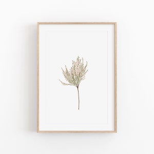 Watercolor Flowers Print, Instant Art, Watercolor Art Print, Modern Minimalist Poster, Plant Wall Decor, Watercolor Plant, Wall Farmhouse