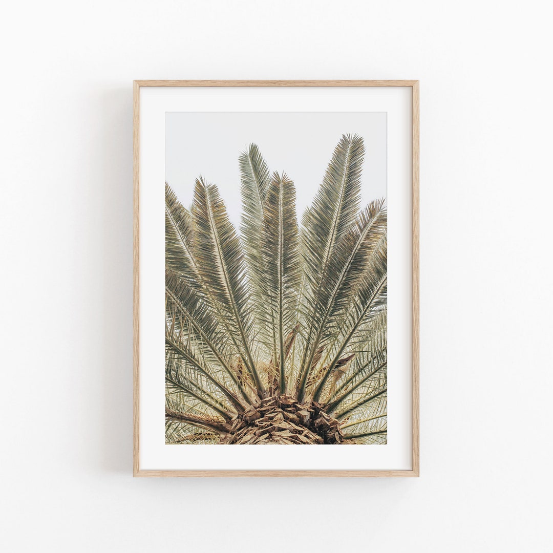 Palm Tree Art Print: Minimalist Tropical Wall Decor (digital Download ...