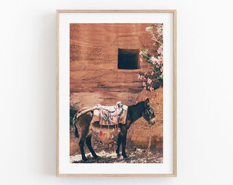 Bohemian Donkey Art Print: Desert Animal Wall Decor (Digital Download)