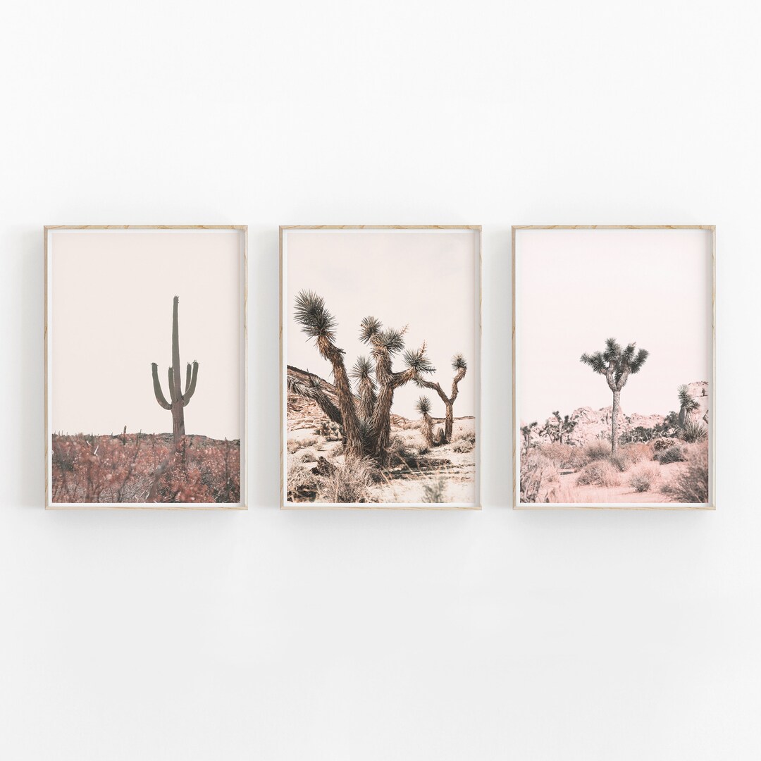Buy Cactus and Joshua Tree Desert Photography Art Print Set (digital ...