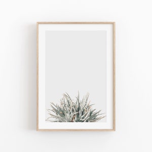 Aloe Print, Instant Art, Aloe Vera, Modern Minimalist Poster, Printable Wall Decor, Aloe Art Print, Desert Print, Evergreen Plant