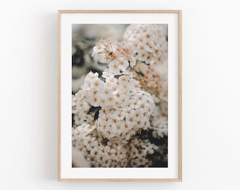 White Flowers Botanical Art Print: Floral Home Decor (Digital Download)