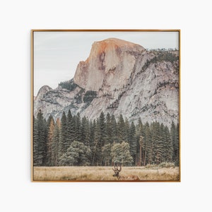 Yosemite Nationalpark Druck, Berglandschaft, Baum Bergnebel, modernes minimalistisches Poster, Wohnkultur, Natur Landschaft Kunstdruck