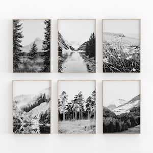 Schwarzweißer Natur Print, 6er Set, Wald Print, Wald Fotografie, modernes minimalistisches Poster, druckbares Wanddekor