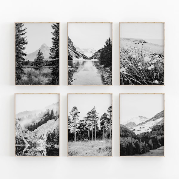 Black And White Nature Print Set of 6, Forest Print Set, Forest Photography Set, Modern Minimalist Poster, Printable Wall Decor