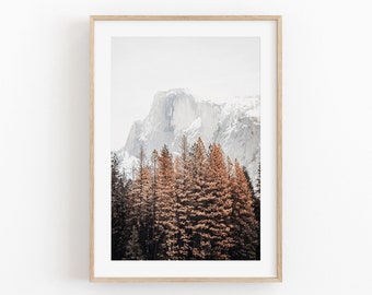 Mountain Pine Tree Print: Minimalist Nature Photography (Digital Download)