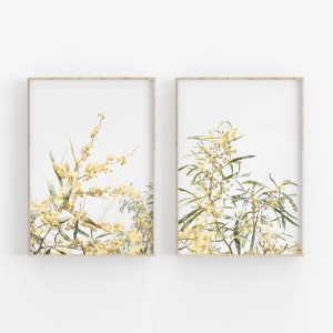 Mimosa Print Set van 2, Fotografie, Natuurlijke Bloemen, Mimosa Flowers., Zomer bloemen, Moderne Minimalistische Poster, Afdrukbare Muur Decor Bloemen