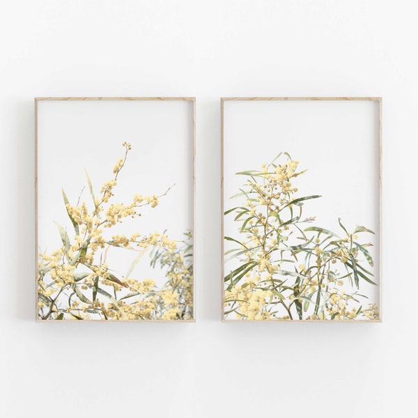 Mimosa Print Set of 2, Photographie, Fleurs naturelles, Fleurs mimosa., Fleurs d’été, Affiche minimaliste moderne, Fleurs de décor mur imprimables