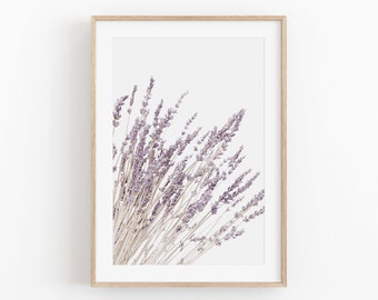May include: A framed print of a bouquet of dried lavender flowers against a white background.
