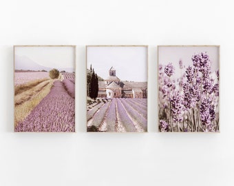 Puede incluir: Tres impresiones enmarcadas de campos de lavanda en la Provenza, Francia. La impresión de la izquierda muestra un campo de lavanda con un pequeño edificio en la distancia. La impresión del medio muestra un campo de lavanda con una iglesia en el fondo. La impresión de la derecha muestra un primer plano de flores de lavanda.