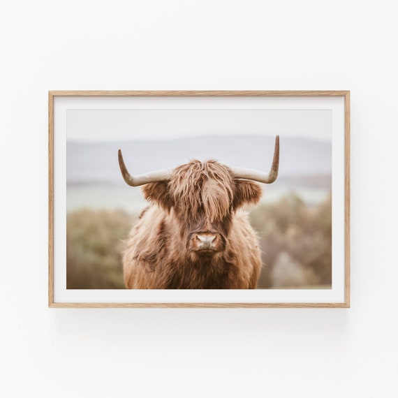 Highland Cow Print: Rustic Farmhouse Wall Art (Digital Download)