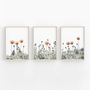 Poppy Print Set of 3, Botanical Wall Art, Flowers Art Print, Plant Art Print, Home Decor Flowers Print, Flowers Photo, Botanical Poppy