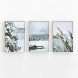 Winter Wonderland Set of 3, Christmas Gallery Wall Art Prints, Winter Landscape, Snow Covered Trees, Winter Photography, Forest Pine trees