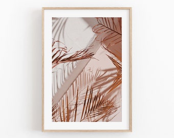 May include: A framed print of a photograph featuring a close-up of palm leaves and their shadows against a light pink and white background.