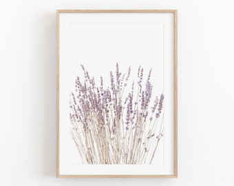 May include: A framed print of a bouquet of dried lavender flowers against a white background. The lavender is a light purple color and the stems are a light brown color.