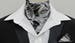 Mens Black, Grey & Silver Large Paisley Cotton Ascot Cravat and Handkerchief/Pocket Square 