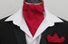 Mens Russet Red Plain 100% Cotton Ascot Cravat + Kerchief 