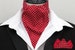 Mens Pillar Box Red and White Pin Dot Cotton Ascot Cravat + Kerchief 