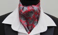 Mens Red and Silver Grey Paisley Silky Satin Ascot Cravat and Pocket Square