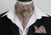 Mens Cappuccino & Bronze Paisley Shot Satin Ascot Cravat + Kerchief 