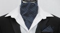 Mens Navy and White Pin Dot Cotton Ascot Cravat / Pocket Square