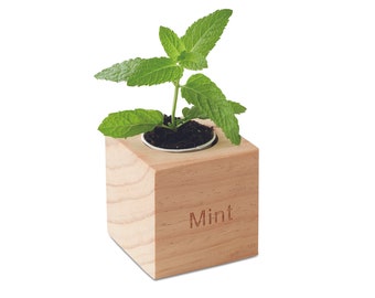 Herb planting set with engraving consisting of a wooden planter, mint seeds, peat block and cardboard plant pot.