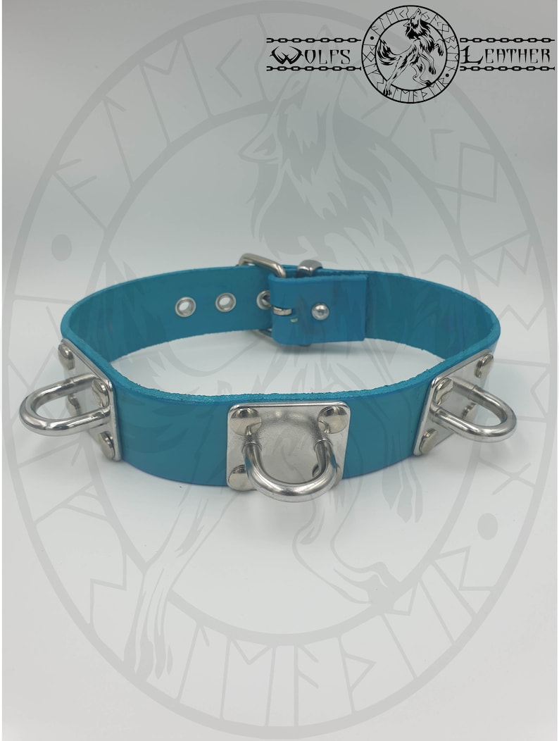 teal 3 restraint shackle collar