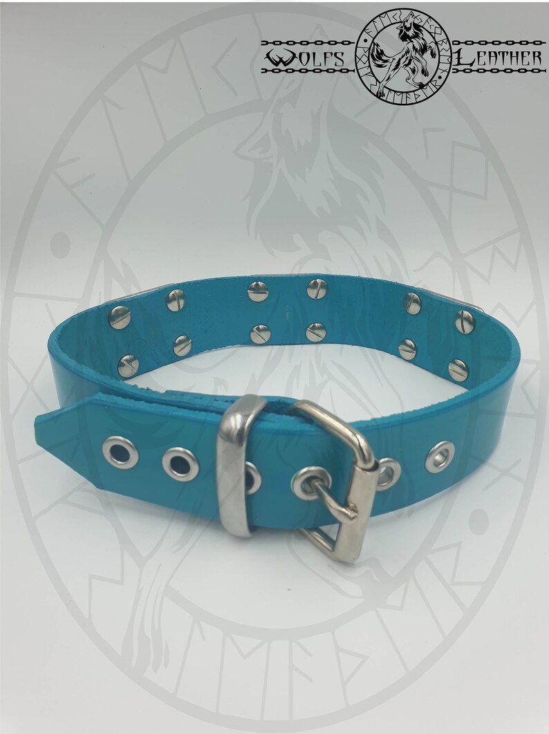 teal 3 restraint shackle collar