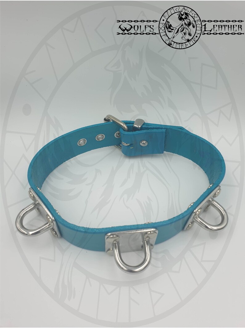 teal 3 restraint shackle collar