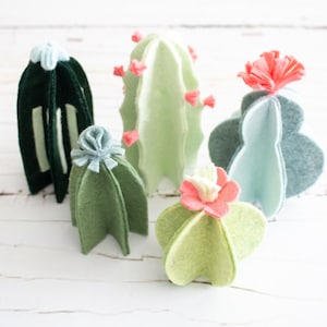 Modello di taglio PATTERN cactus / cactus; 5 cactus in feltro o carta senza cuciture; Modelli PDF, file di taglio SVG; Bomboniere, finto giardino, feste artigianali
