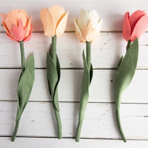 Tulp vilt bloem patroon sjabloon; vilt zonder naaiwerk; Bevat 2 variëteiten; Patroon PDF, SVG gesneden bestand; Feestartikelen, boeket, Cricut, silhouet