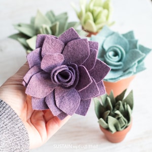 Succulent PATTERN cutting template; 5 no-sew felt or paper succulents; Patterns PDF, SVG cut file; Party favors, wreaths, faux garden