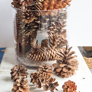 May include: A glass vase filled with brown pine cones, with additional pine cones scattered on a white wooden surface.