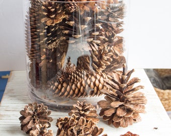 Assorted Pine Cones (100), bulk, natural/untreated, sanitized Ontario, Canada pinecones/ Crafting, Wreaths, Rustic Wedding, Christmas crafts