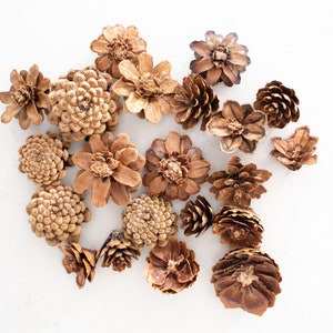 Assorted Pinecone Flowers (50) | Natural, Sanitized | Made in Canada | Craft-ready Pine Cone Flowers | DIY wreaths, rustic wedding decor
