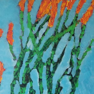 Ocotillo Glow