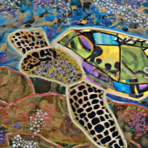 El mar y la tortuga