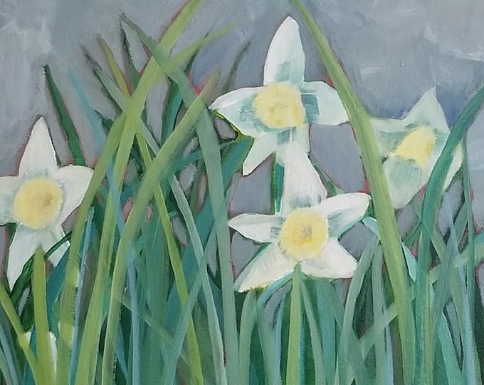 Daffodils in the Spring