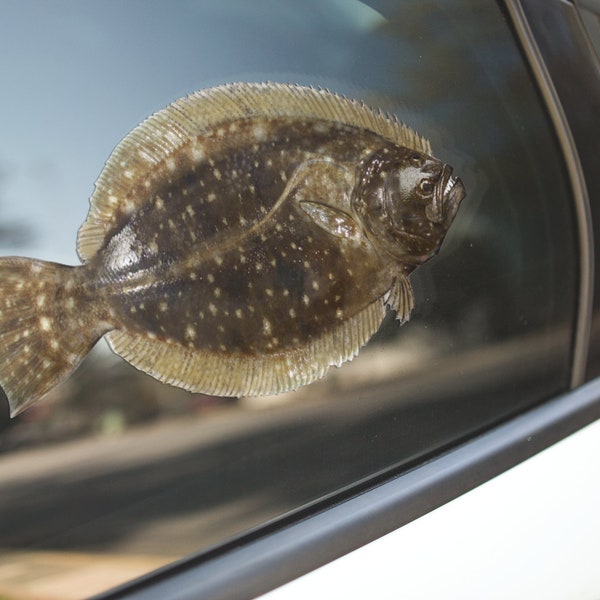 Flounder, Flounder Decal, Flouder Sticker