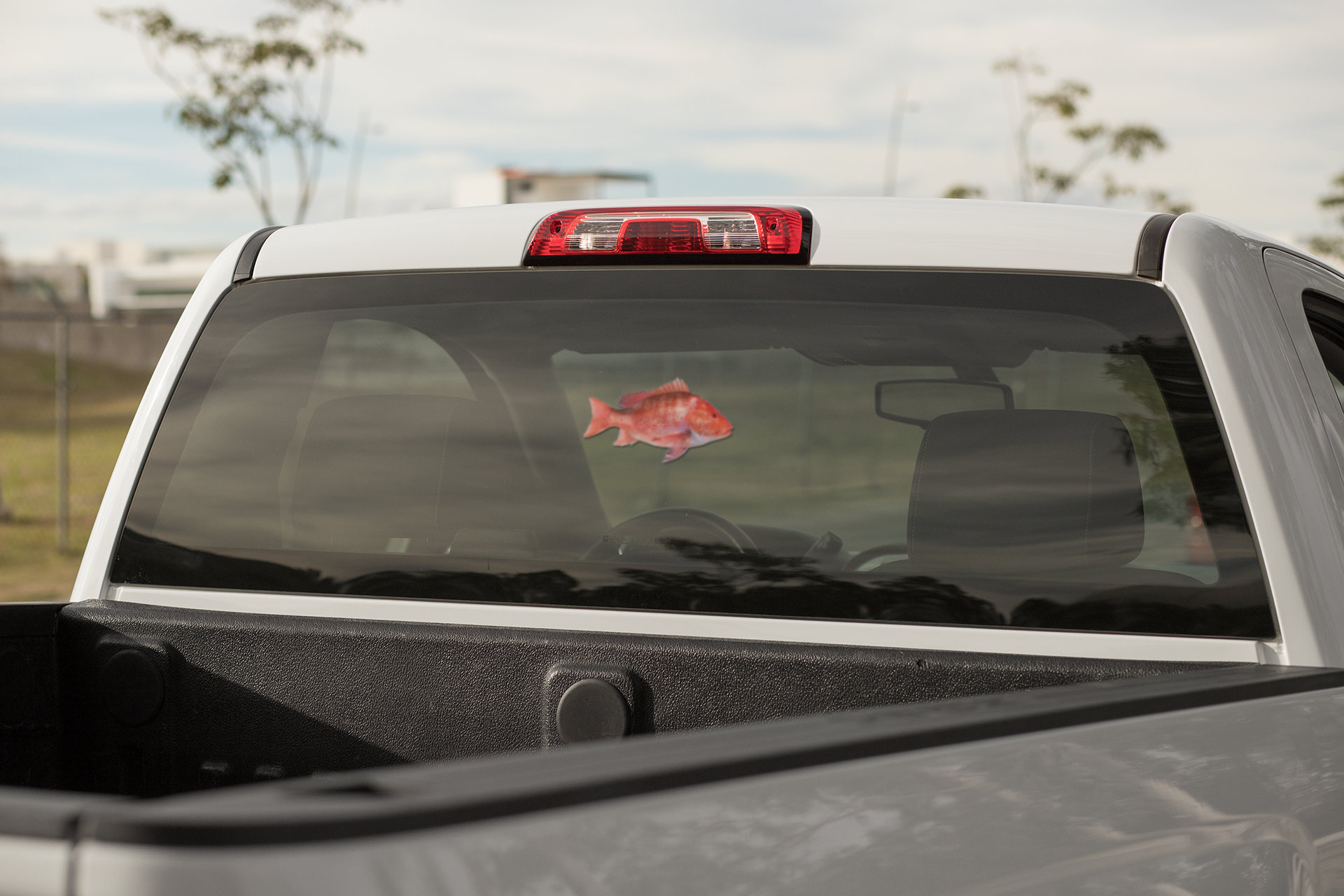 Red Snapper, Red Snapper Decal, Red Snapper Sticker - Etsy