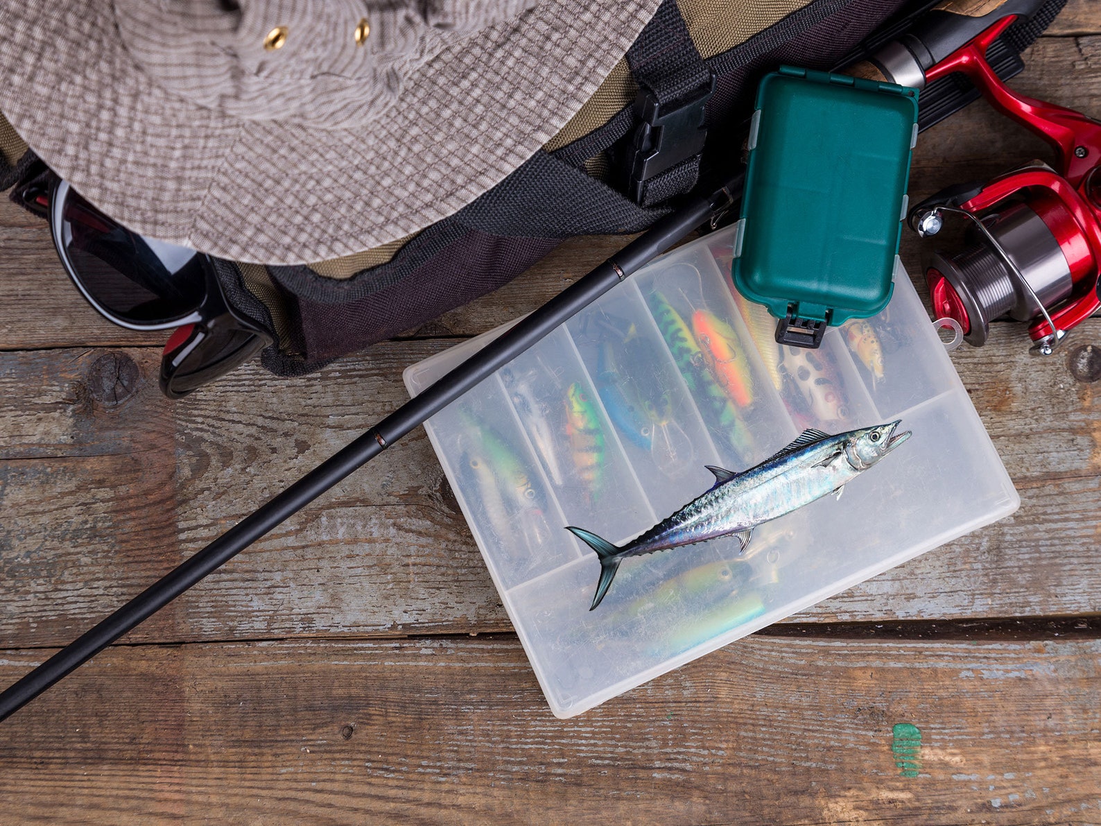 King Mackerel King Mackerel Decal Mackerel Mackerel Decal Etsy