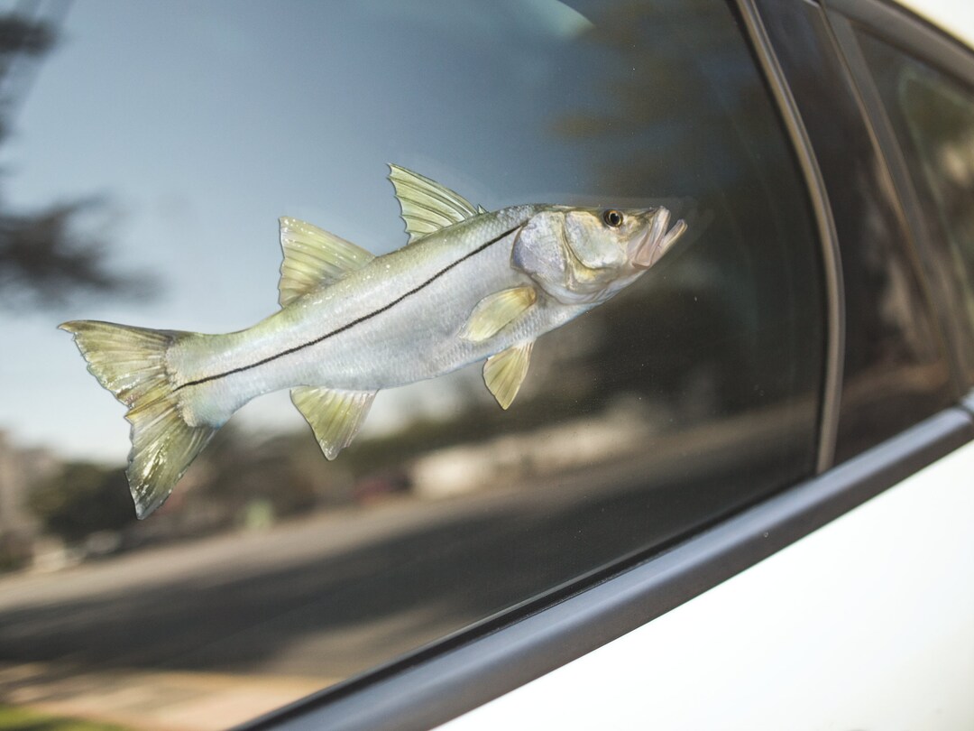 Snook, Snook Decal, Snook Sticker - Etsy