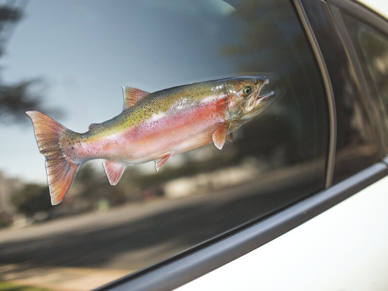 Steelhead, Steelhead Decal, Steelhead Sticker image 2